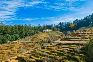 Nainital