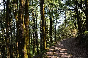 Nainital